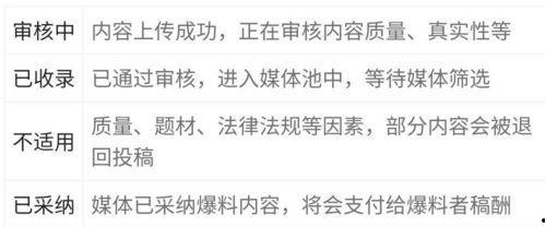 爆料视频指的是哪些内容,内容大曝光，真相一一揭晓